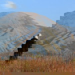 Silviani Indah Purnamasari profile icon