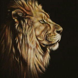 haliza HP profile icon