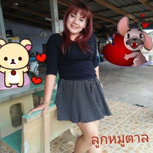 ลูกหมูน้อย นิ่มๆ profile icon