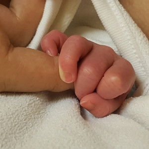 Semaj Gnoh profile icon