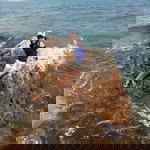 Chalitra Wareedam profile icon