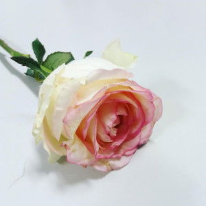 Ar Bintan Pratiwi profile icon