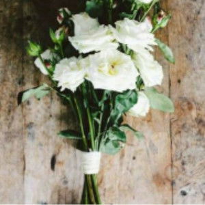 lolita kasendra profile icon