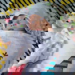 Widhia Satriawan profile icon