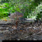 Kanogporn Sangpromsri profile icon