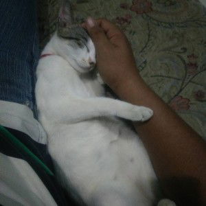 Newlywed profile icon