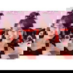 วิชชุดา พิเชียรนวกุล profile icon