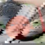 Fike Afrianti profile icon