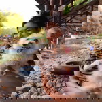 Sathanee Inthasupha profile icon