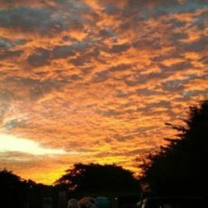 Ummu Aisyah profile icon