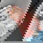 Siti Aisah profile icon