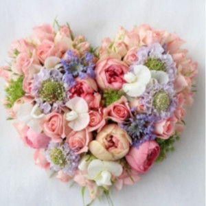 Suci Mulyani profile icon