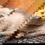 ELVIRA NURDIANA profile icon