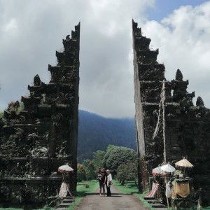 Prischa Shally profile icon