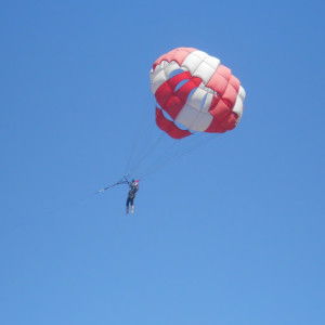 Elsha QR95 profile icon