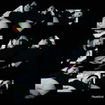 wulandari profile icon