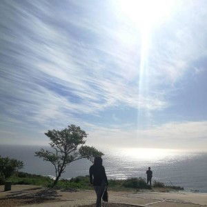 Nadea Shamsudin profile icon