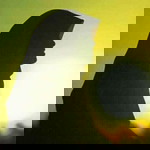 Mentari Tari profile icon