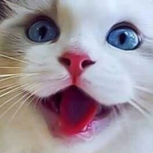 Suchart Thaiyanon profile icon