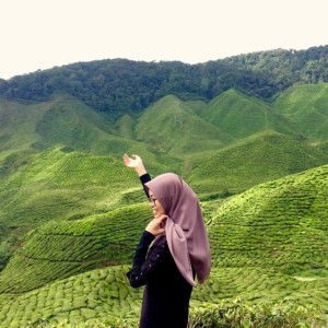 Wawa Zaini profile icon