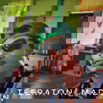 Amihd Sofear profile icon