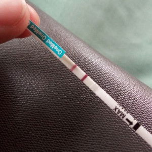 Ani sarmila profile icon