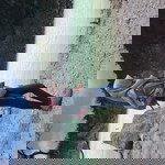 Ffat Toonah Aditya profile icon