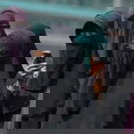 Rizki Yuriandani Rochmania profile icon