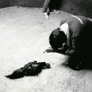 Anisa Nur Fadylah profile icon