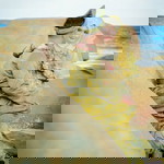 syazwani profile icon