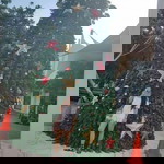 Ni Luh Setyani profile icon