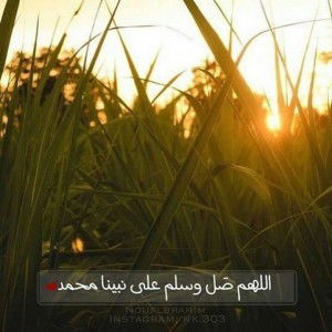 Mella Syamsie profile icon