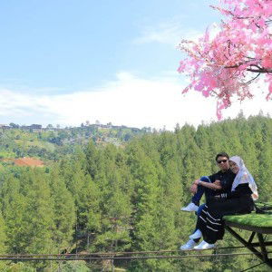 Dea Putri Febriyani profile icon