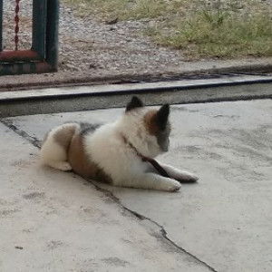 Artitit profile icon