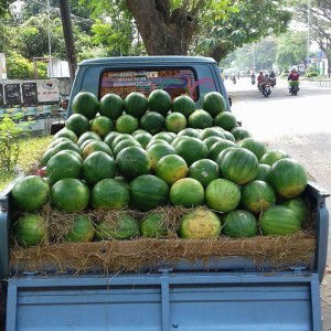 Wilda Anikma profile icon