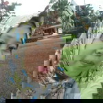 Nila Rosantii profile icon