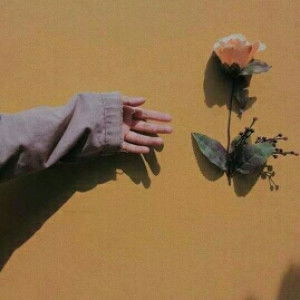 afsari sarry profile icon