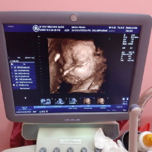 Oenie Jasmine profile icon