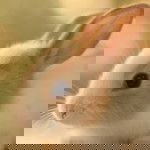 June Kung profile icon