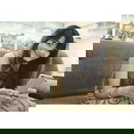 This's Riendear profile icon