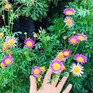 Khun Kru Yusra profile icon