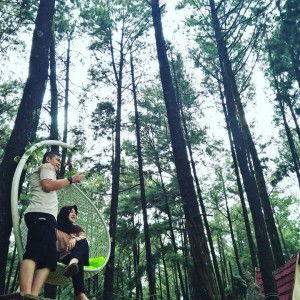 Amelia Safitrie profile icon