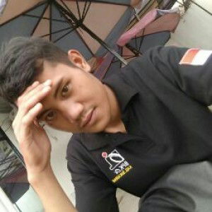 Sandi Illahi profile icon