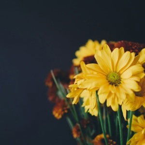 Susi Puman profile icon