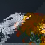 Susi Puman profile icon