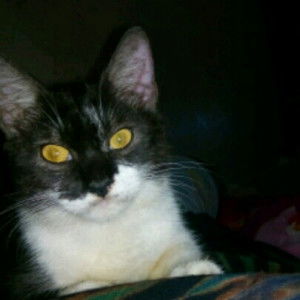 Dewi mustika profile icon