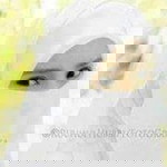 Wulandari Sartika Putri profile icon