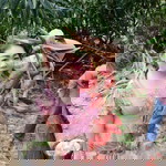 Han Je Wa profile icon