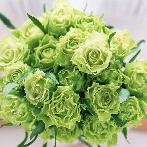 Andi Nurhidayah Umar profile icon