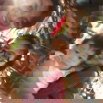 Levia Lazarus profile icon